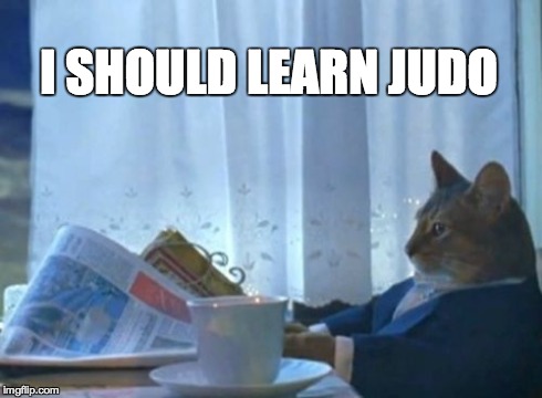 I Should Buy A Boat Cat | I SHOULD LEARN JUDO | image tagged in memes,i should buy a boat cat | made w/ Imgflip meme maker