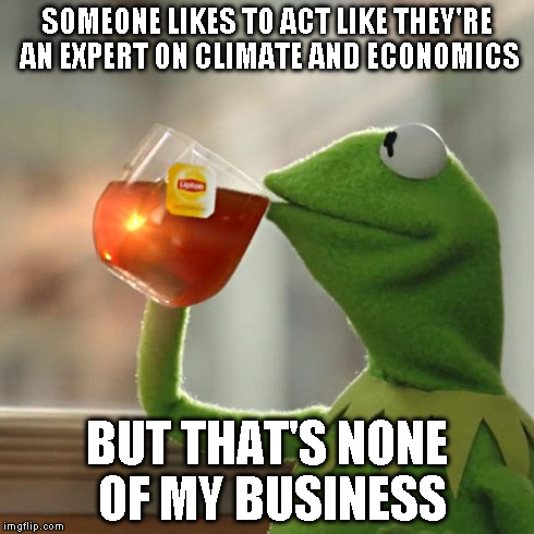 But That's None Of My Business Meme | SOMEONE LIKES TO ACT LIKE THEY'RE AN EXPERT ON CLIMATE AND ECONOMICS BUT THAT'S NONE OF MY BUSINESS | image tagged in memes,but thats none of my business,kermit the frog | made w/ Imgflip meme maker
