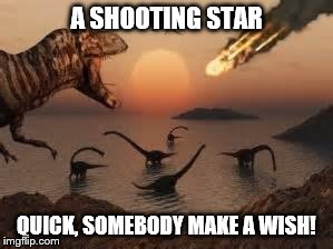 Dinosaurs | A SHOOTING STAR QUICK, SOMEBODY MAKE A WISH! | image tagged in dinosaurs | made w/ Imgflip meme maker