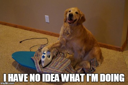 I HAVE NO IDEA WHAT I'M DOING | image tagged in i have no idea what i'm doing dog | made w/ Imgflip meme maker