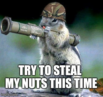 Bazooka Squirrel | TRY TO STEAL MY NUTS THIS TIME | image tagged in memes,bazooka squirrel | made w/ Imgflip meme maker