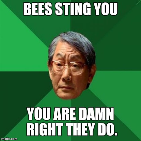 High Expectations Asian Father | BEES STING YOU YOU ARE DAMN RIGHT THEY DO. | image tagged in memes,high expectations asian father | made w/ Imgflip meme maker