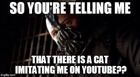 Permission Bane Meme | SO YOU'RE TELLING ME THAT THERE IS A CAT IMITATING ME ON YOUTUBE?? | image tagged in memes,permission bane | made w/ Imgflip meme maker