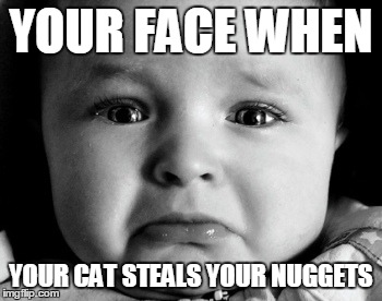 Sad Baby Meme | YOUR FACE WHEN YOUR CAT STEALS YOUR NUGGETS | image tagged in memes,sad baby | made w/ Imgflip meme maker