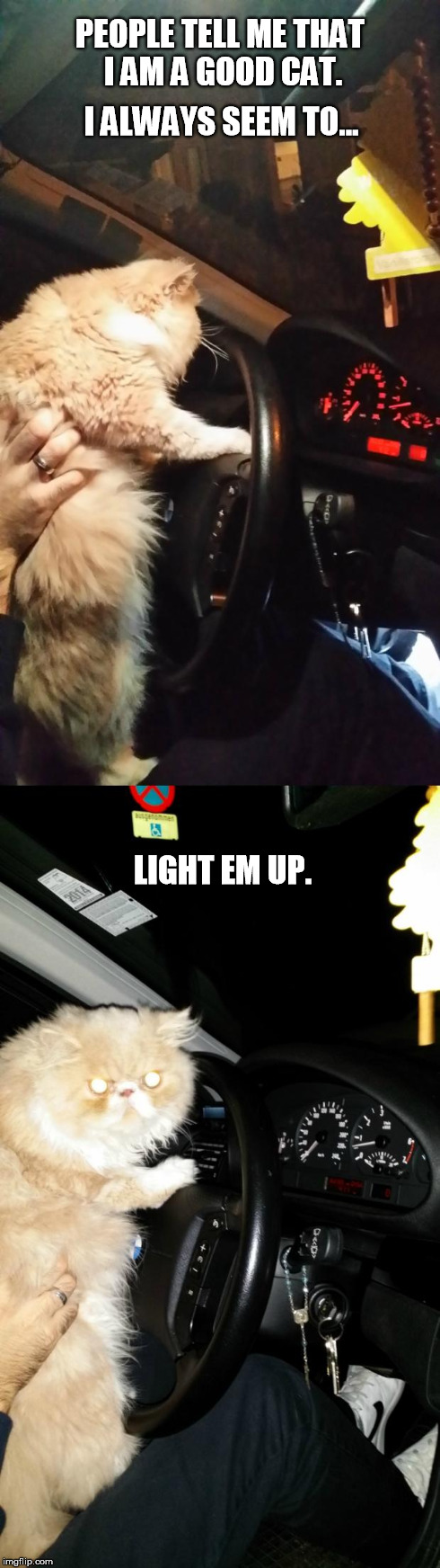 PEOPLE TELL ME THAT I AM A GOOD CAT. LIGHT EM UP. I ALWAYS SEEM TO... | image tagged in driving cat | made w/ Imgflip meme maker