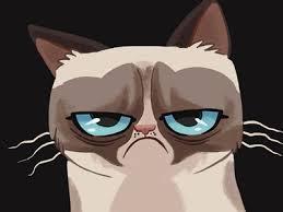 High Quality Grumpy Cat Cartoon Blank Meme Template