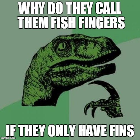 Philosoraptor | WHY DO THEY CALL THEM FISH FINGERS IF THEY ONLY HAVE FINS | image tagged in memes,philosoraptor | made w/ Imgflip meme maker