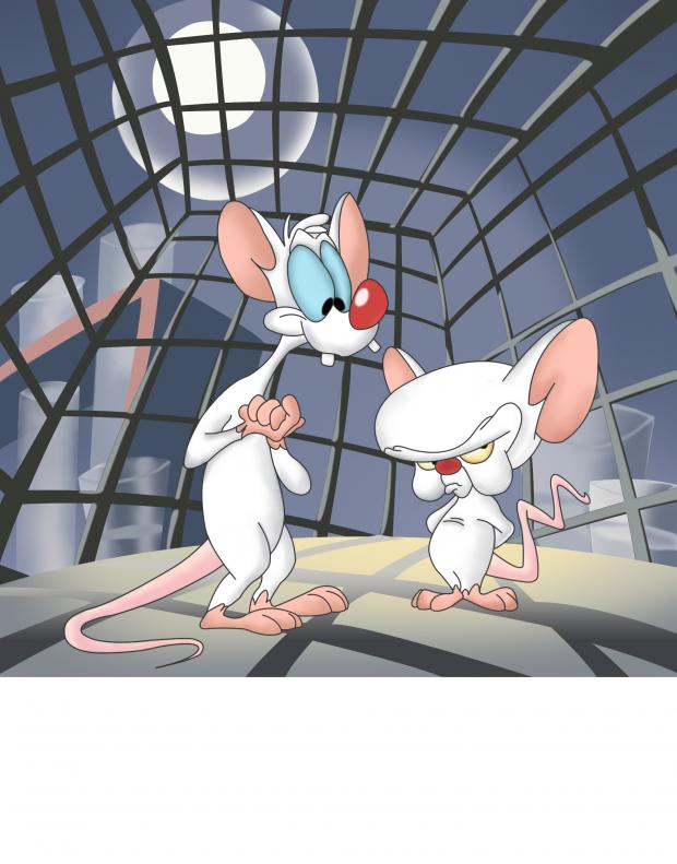 High Quality Pinky and the brain Blank Meme Template
