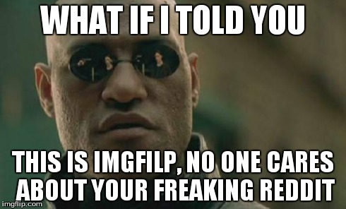 Matrix Morpheus Meme | WHAT IF I TOLD YOU THIS IS IMGFILP, NO ONE CARES ABOUT YOUR FREAKING REDDIT | image tagged in memes,matrix morpheus | made w/ Imgflip meme maker