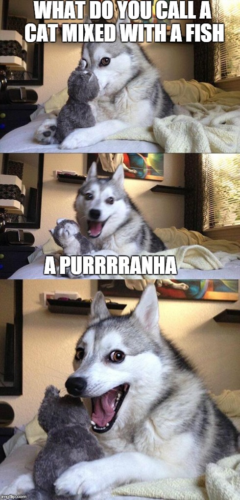 Bad Pun Dog Meme | WHAT DO YOU CALL A CAT MIXED WITH A FISH A PURRRRANHA | image tagged in memes,bad pun dog | made w/ Imgflip meme maker