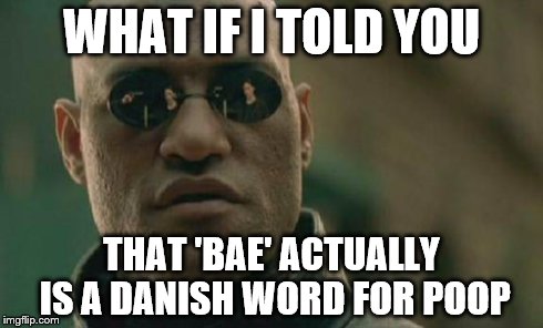 Matrix Morpheus | WHAT IF I TOLD YOU THAT 'BAE' ACTUALLY IS A DANISH WORD FOR POOP | image tagged in memes,matrix morpheus | made w/ Imgflip meme maker