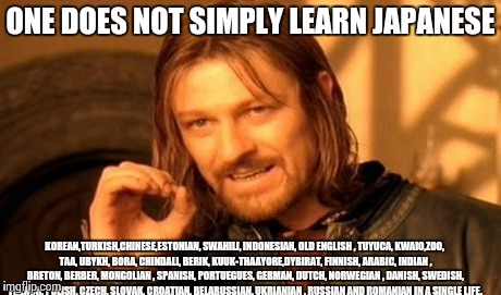 One Does Not Simply | ONE DOES NOT SIMPLY LEARN JAPANESE KOREAN,TURKISH,CHINESE,ESTONIAN, SWAHILI, INDONESIAN, OLD ENGLISH , TUYUCA, KWAIO,ZOO, TAA, UBYKH, BORA,  | image tagged in memes,one does not simply | made w/ Imgflip meme maker