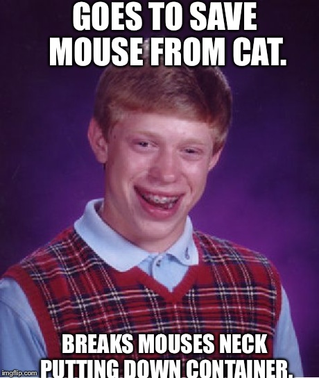 Bad Luck Brian Meme | GOES TO SAVE MOUSE FROM CAT. BREAKS MOUSES NECK PUTTING DOWN CONTAINER. | image tagged in memes,bad luck brian,AdviceAnimals | made w/ Imgflip meme maker
