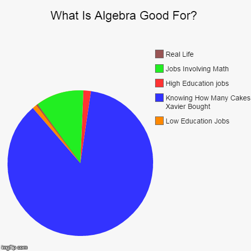 What The Heck is algebra doing? | What Is Algebra Good For? | Low Education Jobs, Knowing How Many Cakes Xavier Bought, High Education jobs, Jobs Involving Math, Real Life | image tagged in funny,pie charts,the most interesting man in the world,bad luck brian,one does not simply,but thats none of my business | made w/ Imgflip chart maker