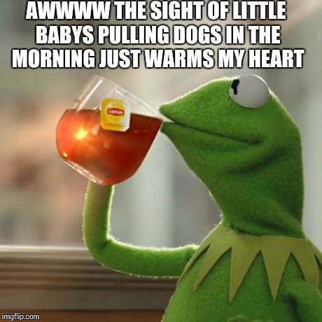 But That's None Of My Business Meme | AWWWW THE SIGHT OF LITTLE BABYS PULLING DOGS IN THE MORNING JUST WARMS MY HEART | image tagged in memes,but thats none of my business,kermit the frog | made w/ Imgflip meme maker