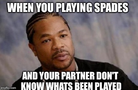Serious Xzibit Meme | WHEN YOU PLAYING SPADES AND YOUR PARTNER DON'T KNOW WHATS BEEN PLAYED | image tagged in memes,serious xzibit | made w/ Imgflip meme maker
