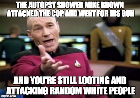 Picard Wtf | THE AUTOPSY SHOWED MIKE BROWN ATTACKED THE COP AND WENT FOR HIS GUN AND YOU'RE STILL LOOTING AND ATTACKING RANDOM WHITE PEOPLE | image tagged in memes,picard wtf | made w/ Imgflip meme maker