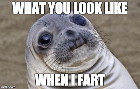 Awkward Moment Sealion | WHAT YOU LOOK LIKE WHEN I FART | image tagged in memes,awkward moment sealion | made w/ Imgflip meme maker