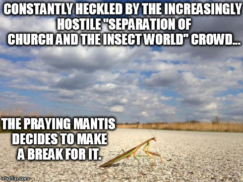 Mantis Goes Underground | CONSTANTLY HECKLED BY THE INCREASINGLY HOSTILE "SEPARATION OF CHURCH AND THE INSECT WORLD" CROWD... THE PRAYING MANTIS DECIDES TO MAKE A BRE | image tagged in mantis walking | made w/ Imgflip meme maker