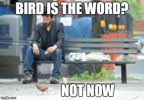 Sad Keanu | BIRD IS THE WORD? NOT NOW | image tagged in memes,sad keanu | made w/ Imgflip meme maker