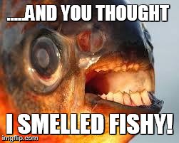 .....AND YOU THOUGHT I SMELLED FISHY! | image tagged in derp fish | made w/ Imgflip meme maker