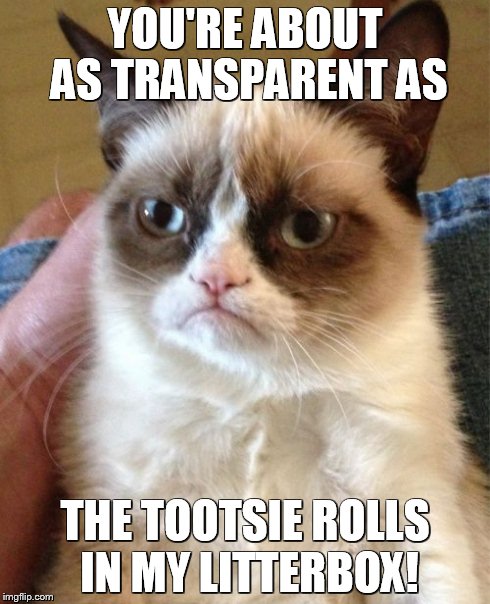 Grumpy Cat Meme | YOU'RE ABOUT AS TRANSPARENT AS THE TOOTSIE ROLLS IN MY LITTERBOX! | image tagged in memes,grumpy cat | made w/ Imgflip meme maker