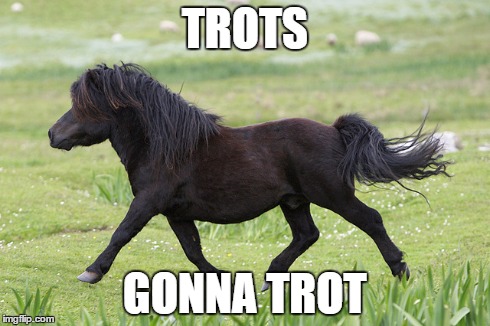 TROTS GONNA TROT | made w/ Imgflip meme maker