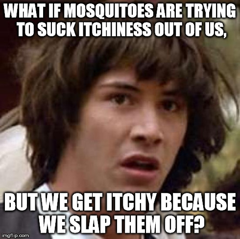 I feel like a jerk now. :( | WHAT IF MOSQUITOES ARE TRYING TO SUCK ITCHINESS OUT OF US, BUT WE GET ITCHY BECAUSE WE SLAP THEM OFF? | image tagged in memes,conspiracy keanu | made w/ Imgflip meme maker
