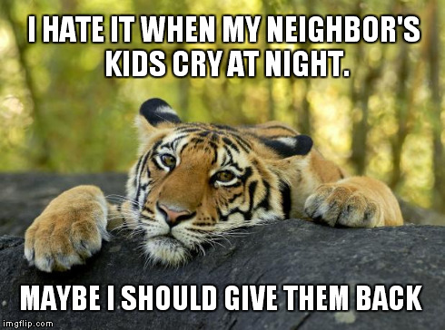Noisy brats! | I HATE IT WHEN MY NEIGHBOR'S KIDS CRY AT NIGHT. MAYBE I SHOULD GIVE THEM BACK | image tagged in confession tiger,jokes,kids,memes | made w/ Imgflip meme maker