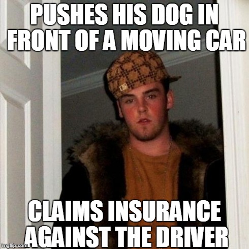 Scumbag Steve Meme | PUSHES HIS DOG IN FRONT OF A MOVING CAR CLAIMS INSURANCE AGAINST THE DRIVER | image tagged in memes,scumbag steve | made w/ Imgflip meme maker