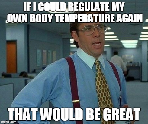 That Would Be Great Meme | IF I COULD REGULATE MY OWN BODY TEMPERATURE AGAIN THAT WOULD BE GREAT | image tagged in memes,that would be great | made w/ Imgflip meme maker