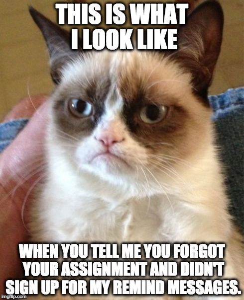 Grumpy Cat | THIS IS WHAT I LOOK LIKE WHEN YOU TELL ME YOU FORGOT YOUR ASSIGNMENT AND DIDN'T SIGN UP FOR MY REMIND MESSAGES. | image tagged in memes,grumpy cat | made w/ Imgflip meme maker
