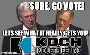 Koch | SURE, GO VOTE! LETS SEE WHAT IT REALLY GETS YOU! | image tagged in koch | made w/ Imgflip meme maker
