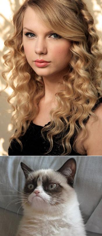 Grumpy Cat on Taylor Swift as NYC's  Global Welcome Ambassador Blank Meme Template