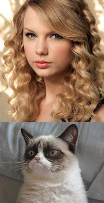 High Quality Grumpy Cat says "no" to Taylor Swift as NYC Global Welcome Ambas Blank Meme Template