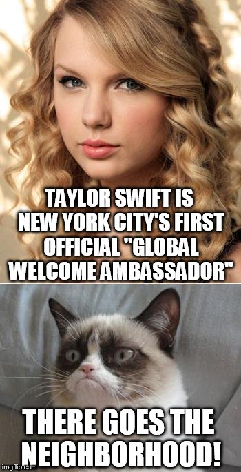 Grumpy Cat says "no" to Taylor Swift as NYC Global Welcome Ambas | TAYLOR SWIFT IS NEW YORK CITY'S FIRST OFFICIAL "GLOBAL WELCOME AMBASSADOR" THERE GOES THE NEIGHBORHOOD! | image tagged in grumpy cat,taylor swift,new york city,global world ambassador | made w/ Imgflip meme maker