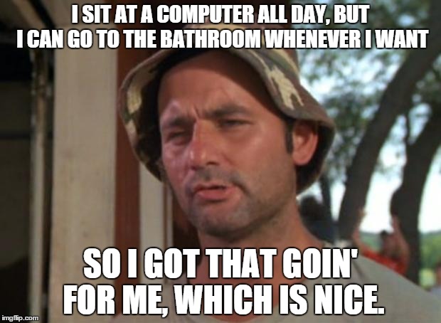 So I Got That Goin For Me Which Is Nice | I SIT AT A COMPUTER ALL DAY, BUT I CAN GO TO THE BATHROOM WHENEVER I WANT SO I GOT THAT GOIN' FOR ME, WHICH IS NICE. | image tagged in memes,so i got that goin for me which is nice,AdviceAnimals | made w/ Imgflip meme maker
