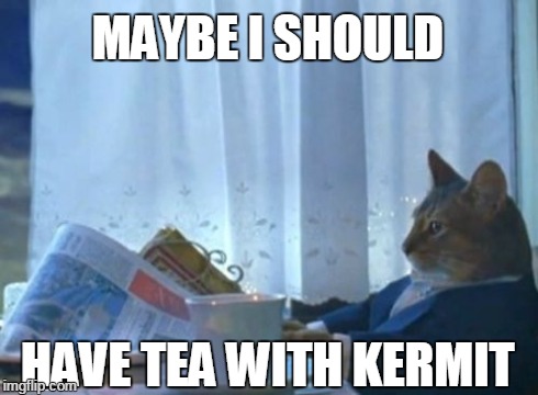 I Should Buy A Boat Cat Meme | MAYBE I SHOULD HAVE TEA WITH KERMIT | image tagged in memes,i should buy a boat cat | made w/ Imgflip meme maker