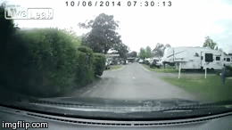 image tagged in gifs | made w/ Imgflip video-to-gif maker