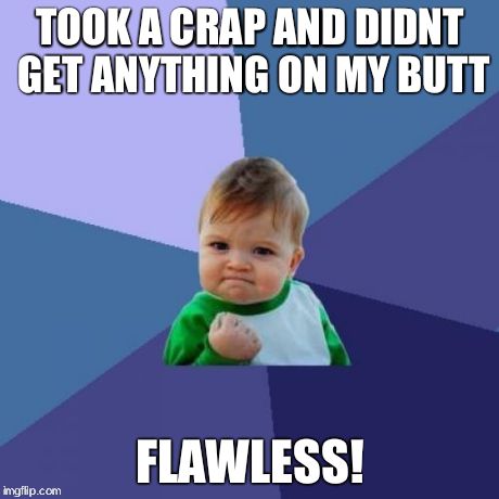 Success Kid | TOOK A CRAP AND DIDNT GET ANYTHING ON MY BUTT FLAWLESS! | image tagged in memes,success kid | made w/ Imgflip meme maker