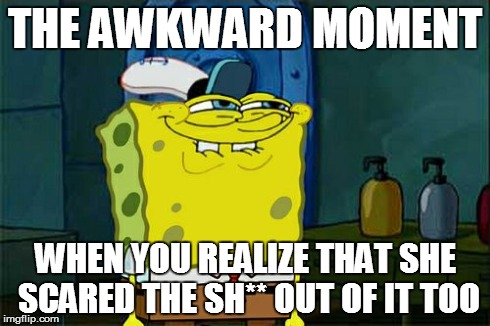 THE AWKWARD MOMENT WHEN YOU REALIZE THAT SHE SCARED THE SH** OUT OF IT TOO | image tagged in memes,dont you squidward | made w/ Imgflip meme maker
