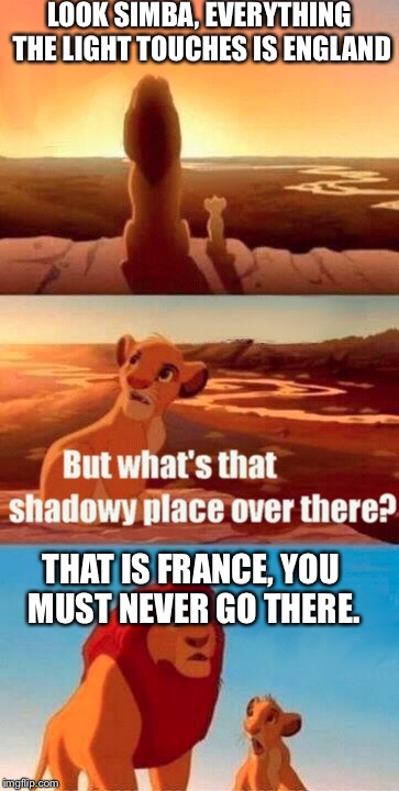 Simba Shadowy Place | LOOK SIMBA, EVERYTHING THE LIGHT TOUCHES IS ENGLAND THAT IS FRANCE, YOU MUST NEVER GO THERE. | image tagged in memes,simba shadowy place | made w/ Imgflip meme maker