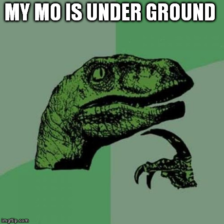 Philosoraptor | MY MO IS UNDER GROUND | image tagged in memes,philosoraptor | made w/ Imgflip meme maker