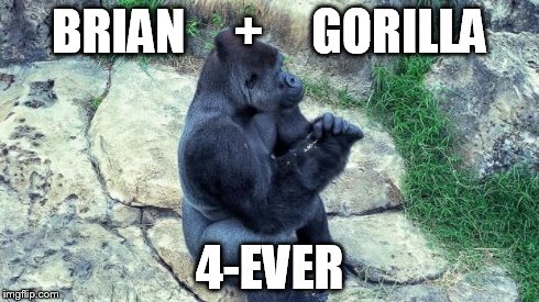 Praying Gorilla | BRIAN     +     GORILLA 4-EVER | image tagged in praying gorilla | made w/ Imgflip meme maker