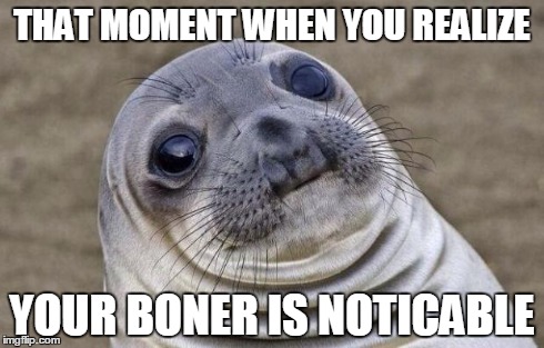Awkward Moment Sealion | THAT MOMENT WHEN YOU REALIZE YOUR BONER IS NOTICABLE | image tagged in memes,awkward moment sealion | made w/ Imgflip meme maker