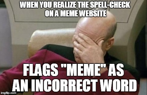 Try it for yourself | WHEN YOU REALIZE THE SPELL-CHECK ON A MEME WEBSITE FLAGS "MEME" AS AN INCORRECT WORD | image tagged in memes,captain picard facepalm,punctuation nazi | made w/ Imgflip meme maker