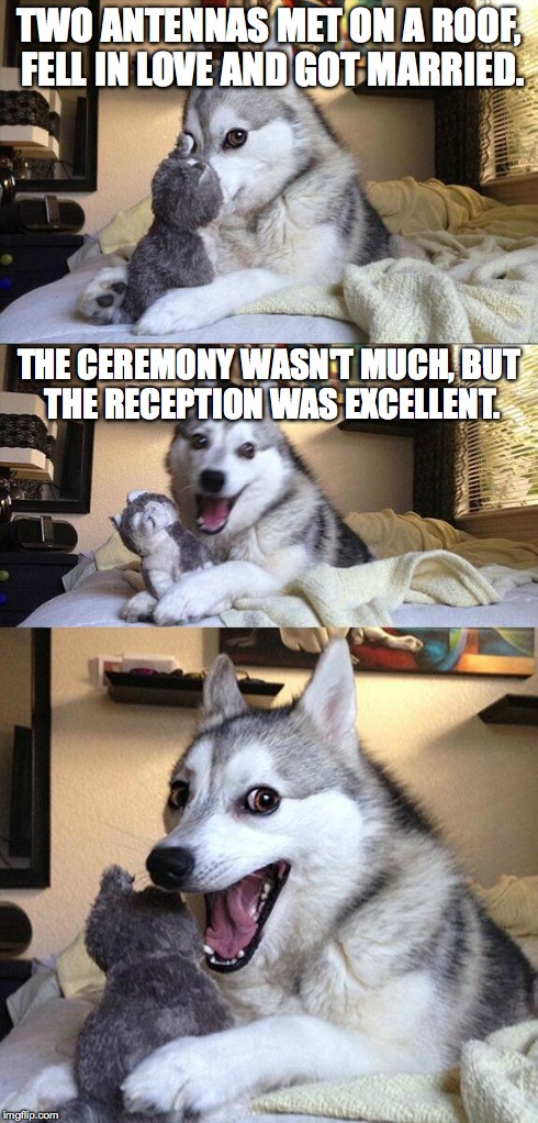 bad Pun Dog | TWO ANTENNAS MET ON A ROOF, FELL IN LOVE AND GOT MARRIED. THE CEREMONY WASN'T MUCH, BUT THE RECEPTION WAS EXCELLENT. | image tagged in memes,bad pun dog | made w/ Imgflip meme maker