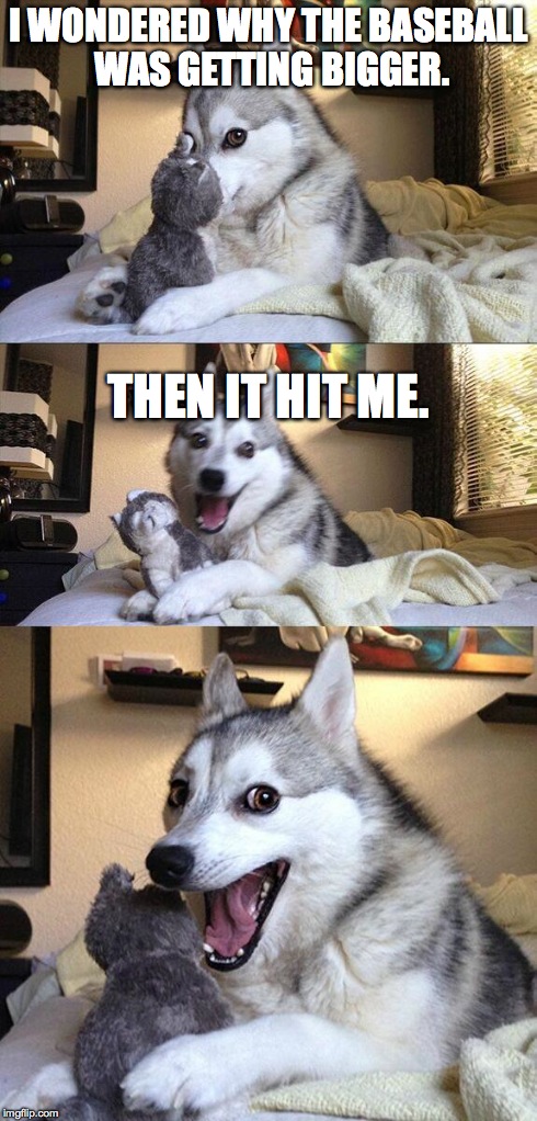 Bad Pun Dog | I WONDERED WHY THE BASEBALL WAS GETTING BIGGER. THEN IT HIT ME. | image tagged in memes,bad pun dog | made w/ Imgflip meme maker