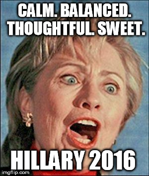 The Side Bill Sees | CALM. BALANCED. THOUGHTFUL. SWEET. HILLARY 2016 | image tagged in hillaryhappy | made w/ Imgflip meme maker