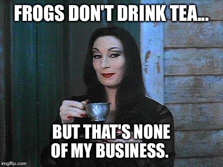 FROGS DON'T DRINK TEA... BUT THAT'S NONE OF MY BUSINESS. | image tagged in morteacia | made w/ Imgflip meme maker